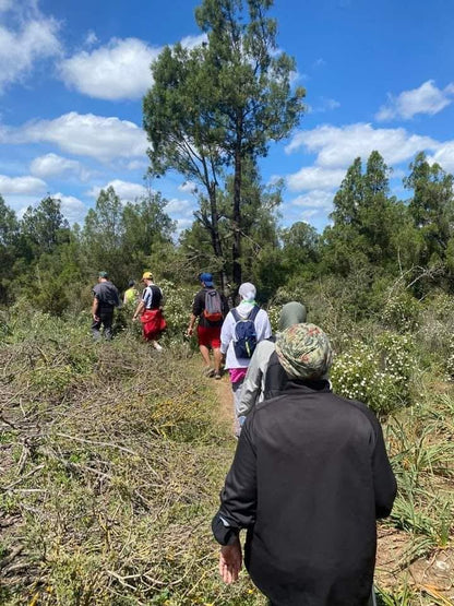 🌿 Team building (Groups, Companies &amp; Schools)